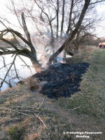 Brand Freifläche